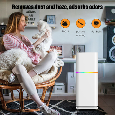 Good price ODM HEPA 部屋掃除機 住宅用空気浄化機 240V PM25 オンライン